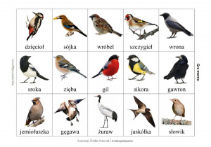 ptaki w Polsce