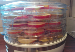 Amelka z mamą ususzyły jabłka, z których ugotowaliśmy kompot podczas warsztatów kulinarnych.