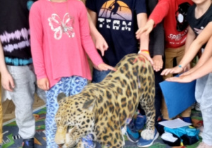 Gepard w naszej klasie