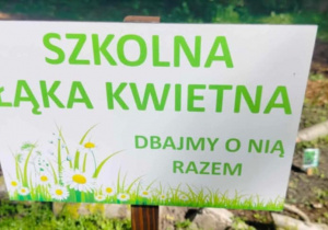 Szkolna łąka kwietna.