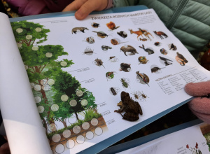 Zajęcia w Lesie Łagiewnickim