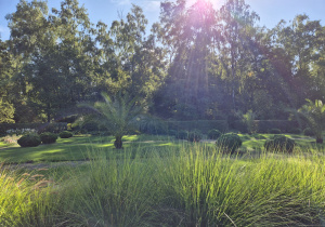 Podziwiamy ogród botaniczny.