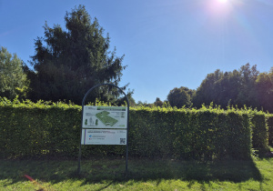 Labirynt z żywopłotu.