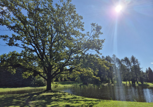 Wrześniowe słoneczko.