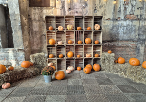 Dynie małe i duże.