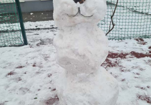 Śnieżny misio, może polarny?