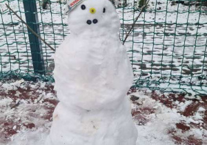 A dla niego nie wystarczyło marchewki.