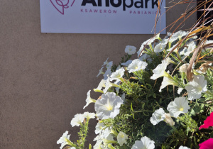 Aflopark.